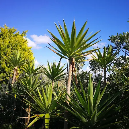 Surf House Helena Maison d'hôtes 4*